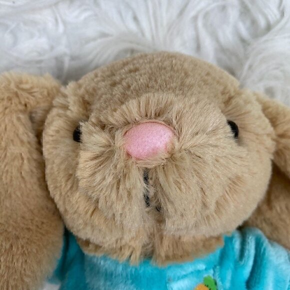 NEW Easter Funny Bunny Book Stuffed Bunny Set By Kate Palazzolo Easter - Picture 5 of 9